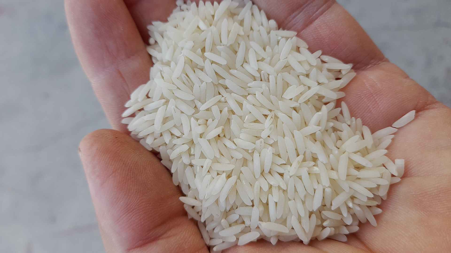 برنج هاشمی  ممتاز سالم واستاندارد دوغرباله و پاک و سورت شده بسته وکیوم 5کیلویی